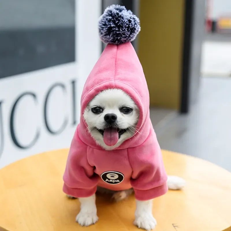πΎ Snuggle Pup Hoodie β Warm & Adorable Winter Wear for Small Dogs & Cats