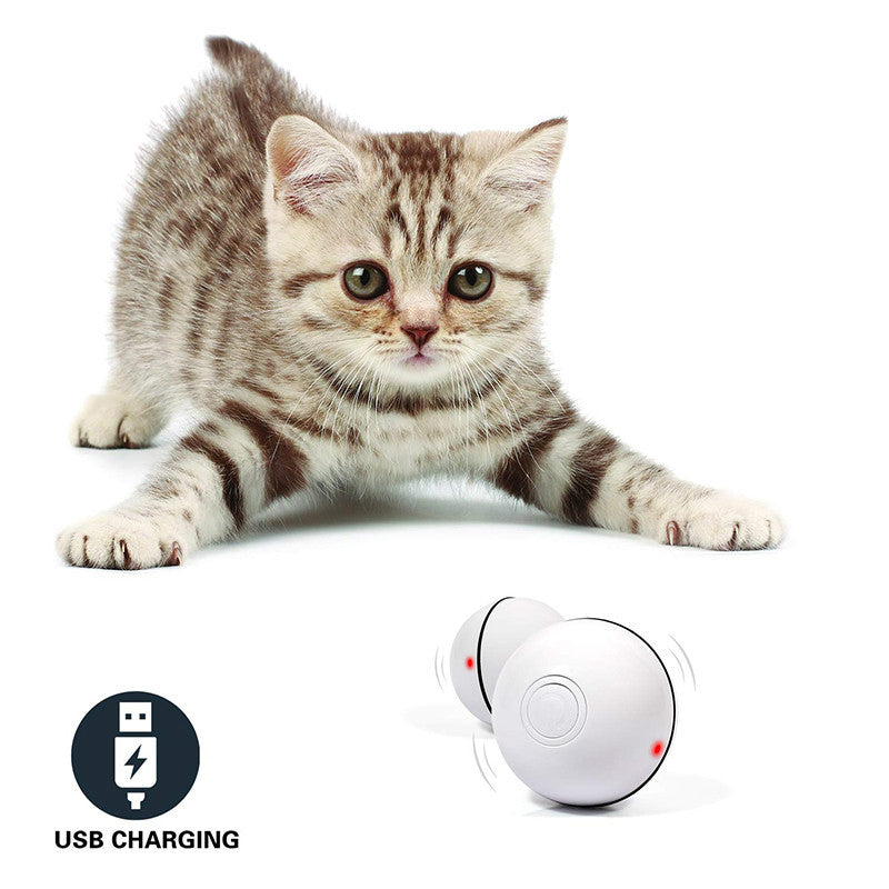 Smart Laser Toy Ball for Cats – Rechargeable