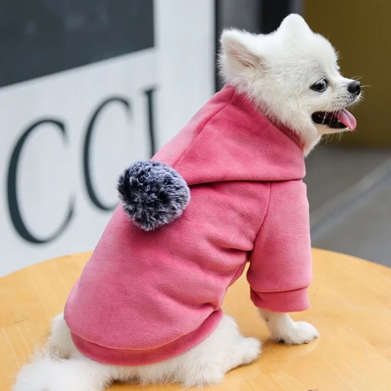 πΎ Snuggle Pup Hoodie β Warm & Adorable Winter Wear for Small Dogs & Cats