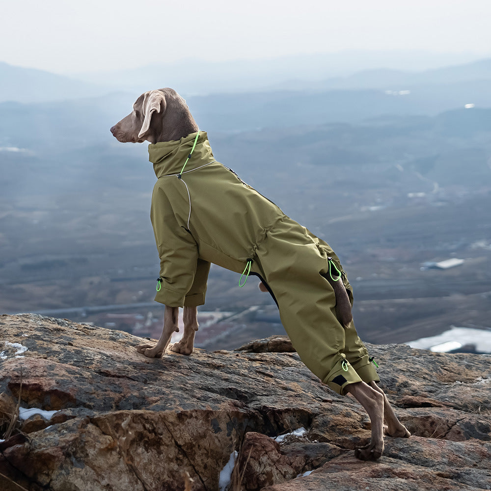 š§ļø TrailBlazer⢠Dog RainSuit ā Full Protection. Zero Worries. š¾