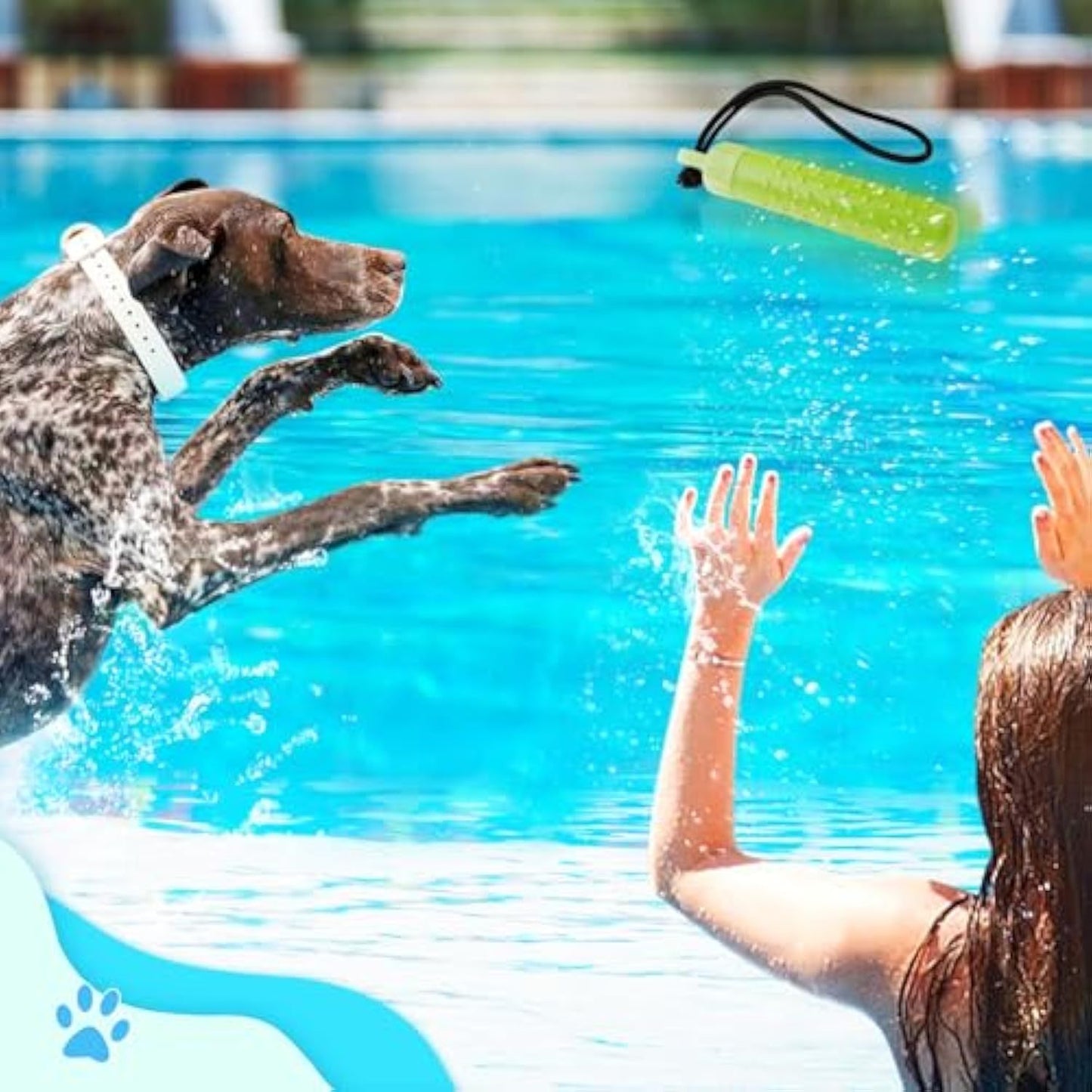 Floating Dog Pool Toys – Interactive Water Fetch Toys with Treat Dispenser, Durable & Safe for Summer Play