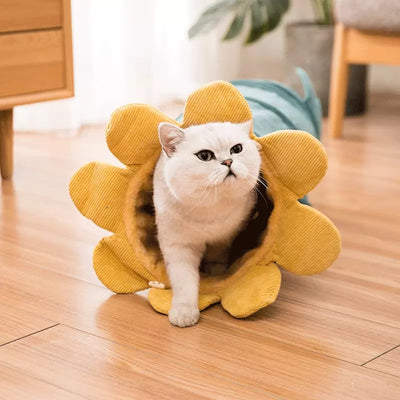 SnuggleBloom™ Cat Tunnel 🌸 – 2u1 Hammock & Cozy Cave