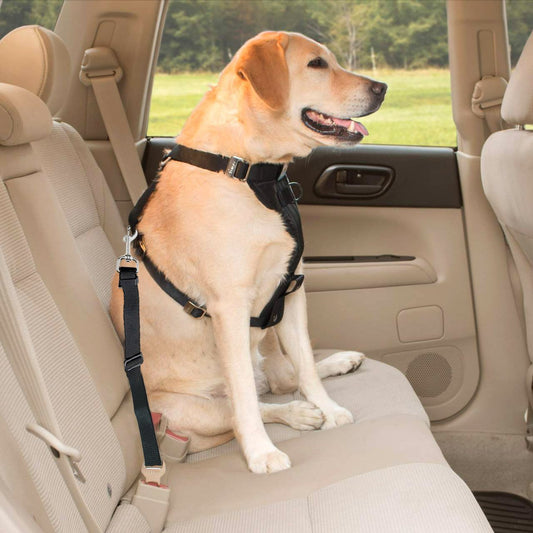 Retractable Car Safety Buckle Pet Leash – Adjustable & Elastic Seat Belt for Dogs