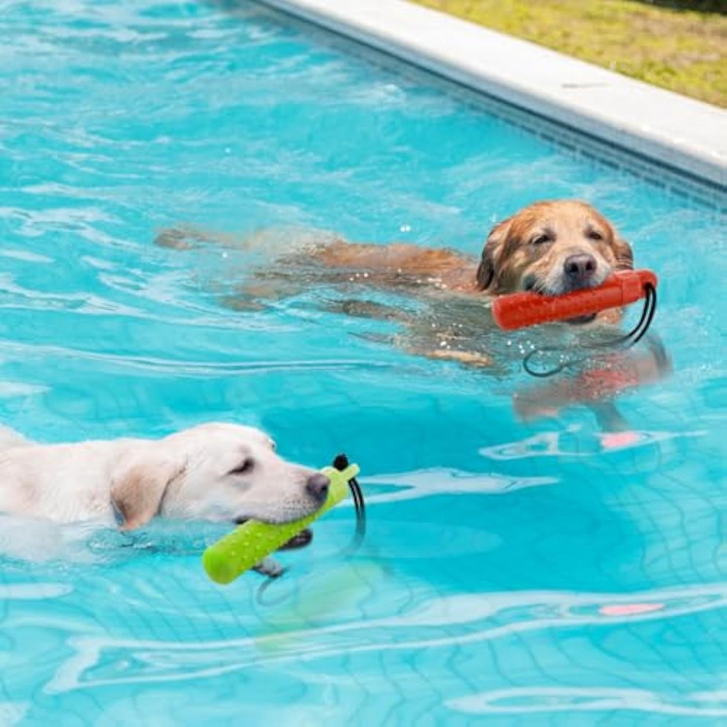 Floating Dog Pool Toys – Interactive Water Fetch Toys with Treat Dispenser, Durable & Safe for Summer Play
