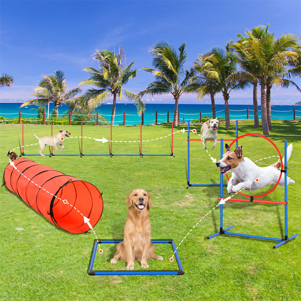 Dog Agility Training Set – 5 in 1 Kit with Tunnel & Hurdles