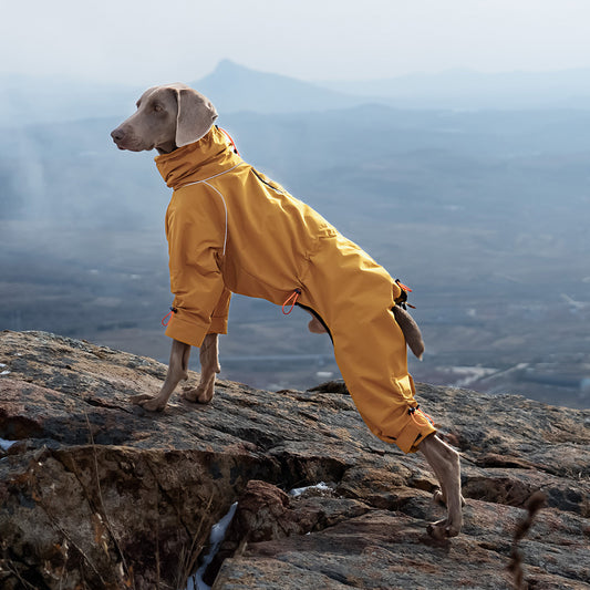 🌧️ TrailBlazer™ Dog RainSuit – Full Protection. Zero Worries. 🐾