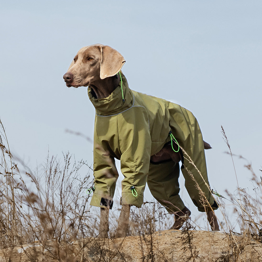 🌧️ TrailBlazer™ Dog RainSuit – Full Protection. Zero Worries. 🐾