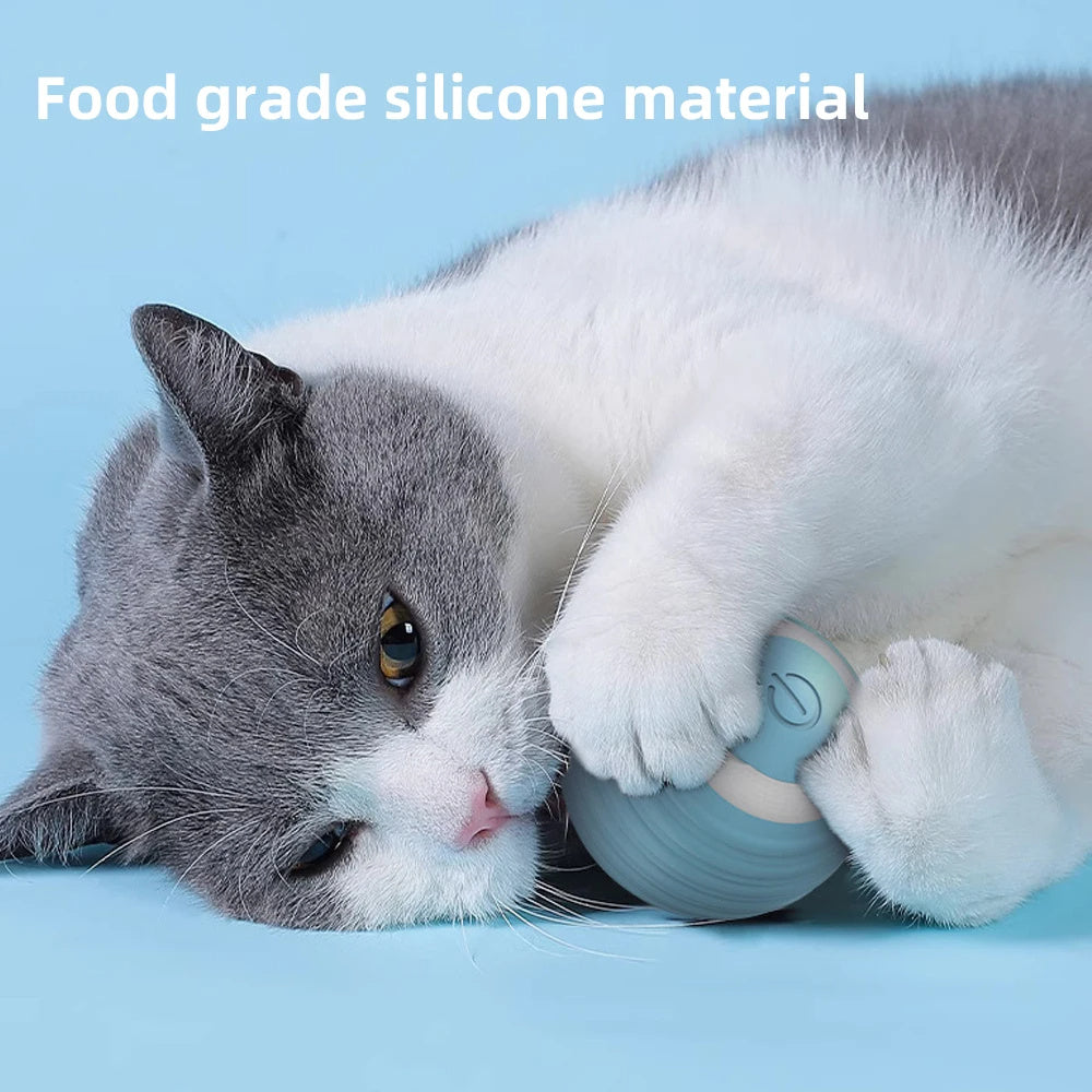 Smart Interactive Cat Ball 🐾 – Automatic Rolling Toy (Blue & Pink)