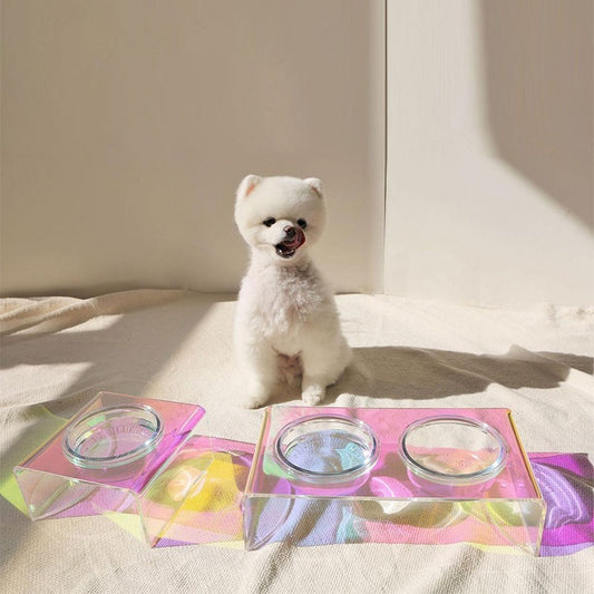 Acrylic Luxe™ | Modern Iridescent Pet Bowl (Single or Dual)💎🍽️