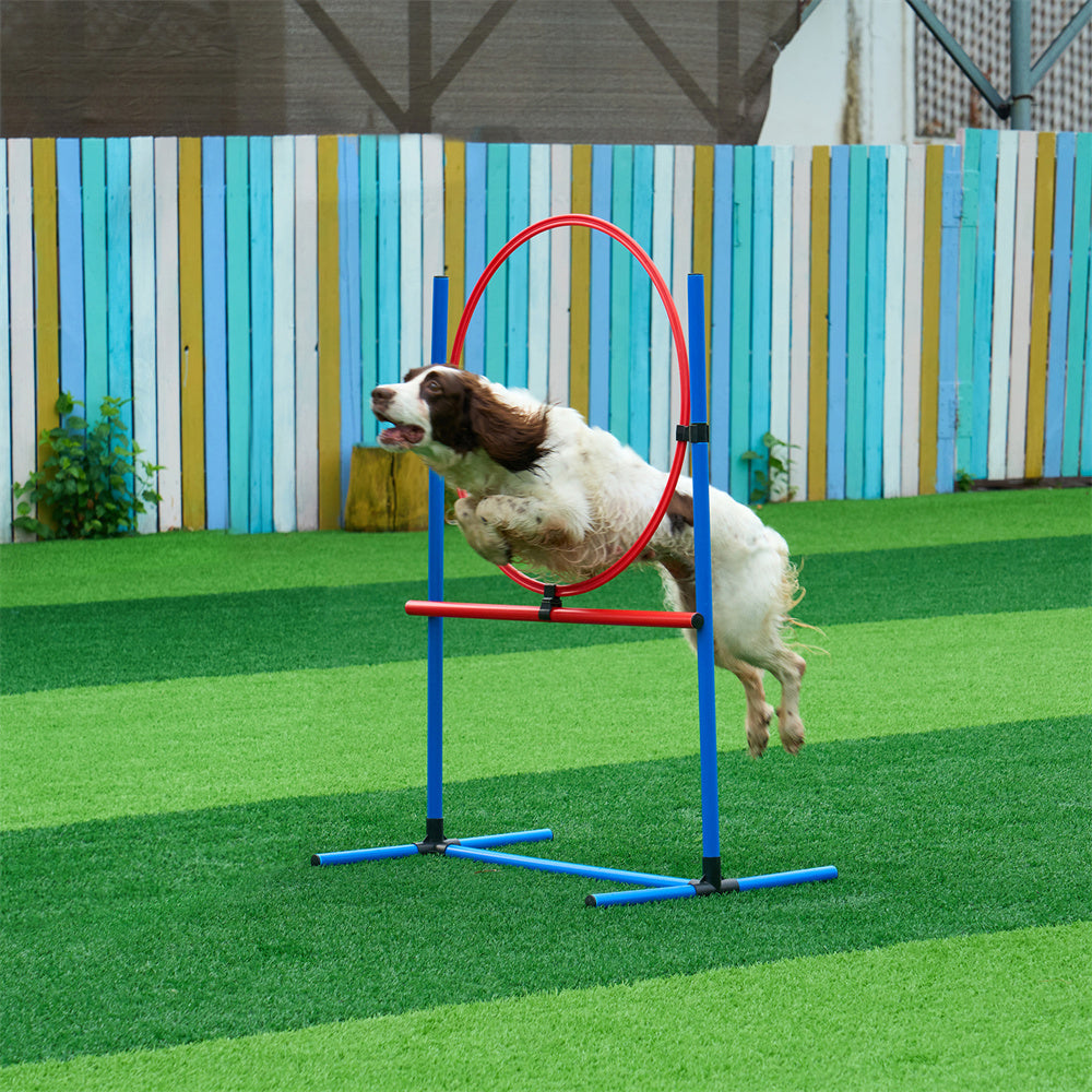 Dog Agility Training Set – 5 in 1 Kit with Tunnel & Hurdles